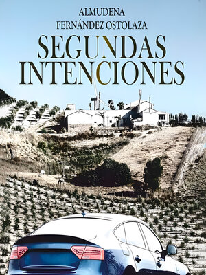 cover image of Segundas intenciones